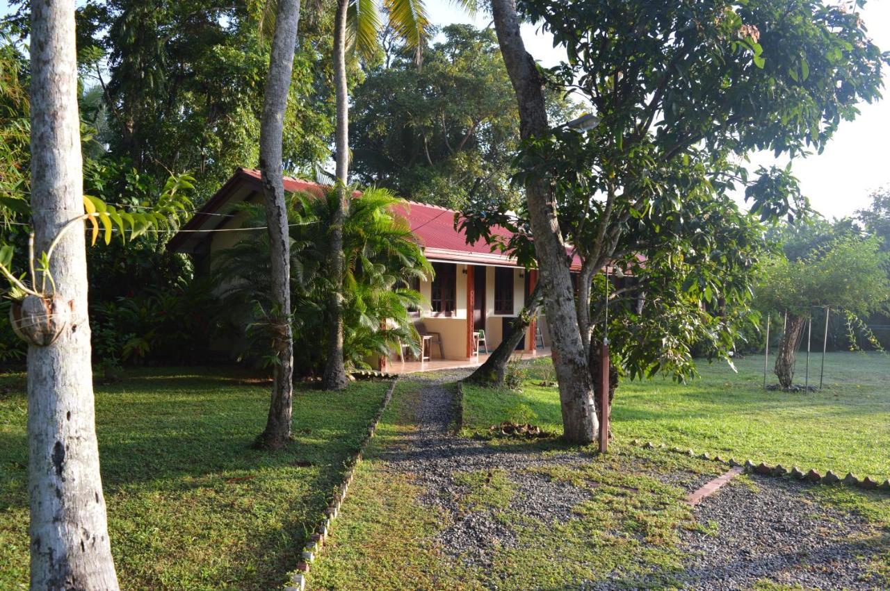 Zum Deutschen Bed & Breakfast เบนโตตา ภายนอก รูปภาพ