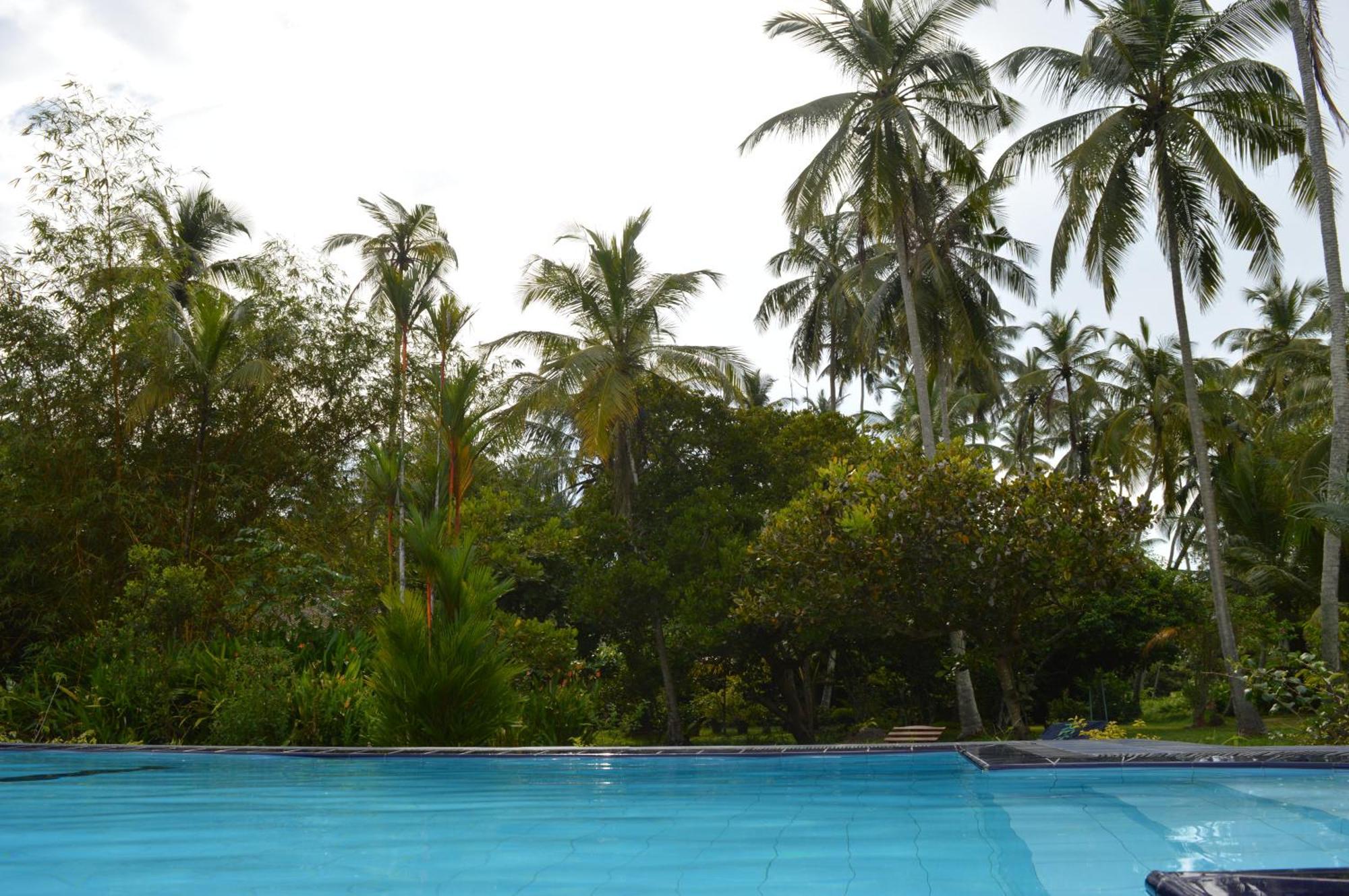 Zum Deutschen Bed & Breakfast เบนโตตา ภายนอก รูปภาพ