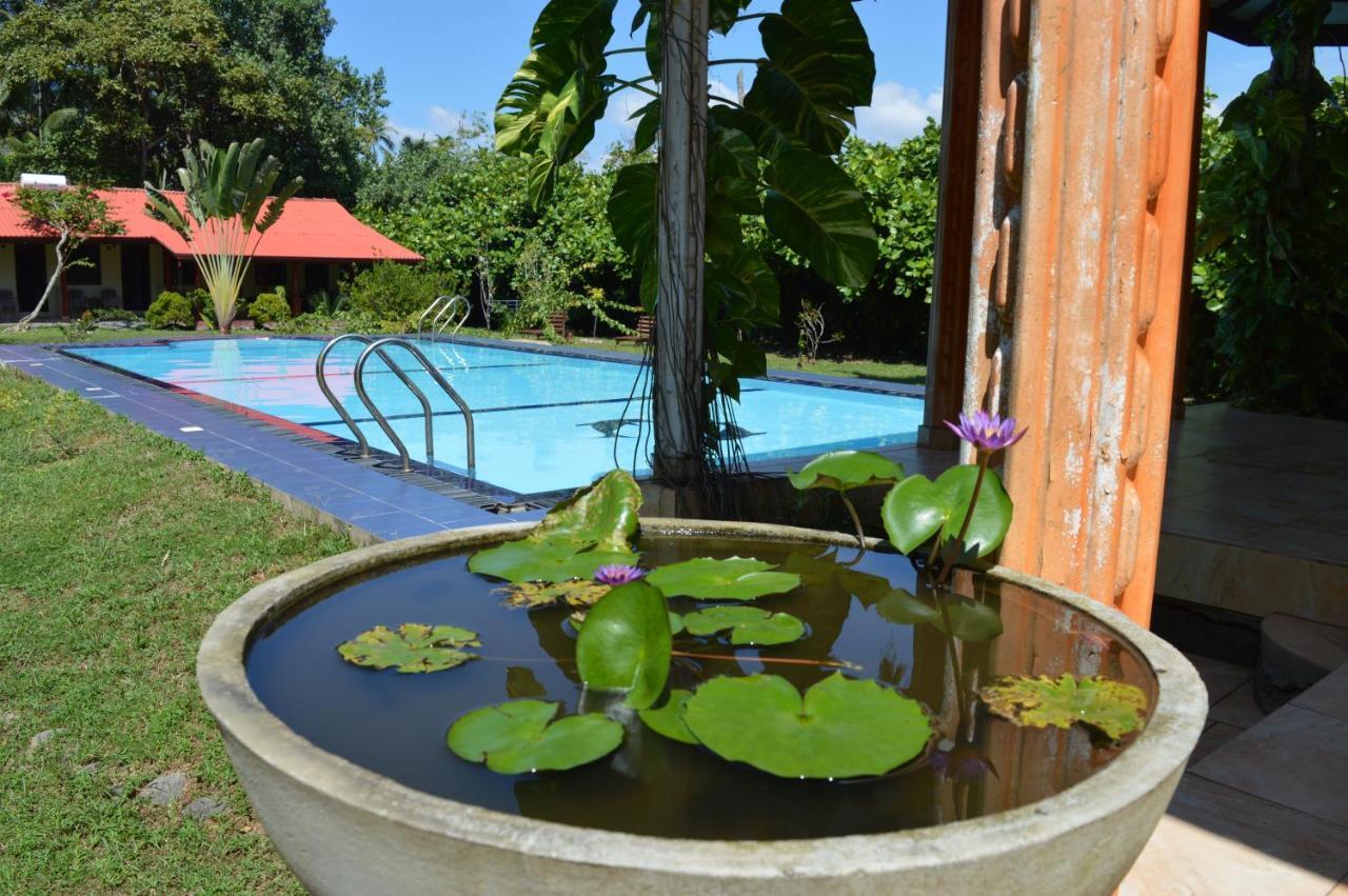 Zum Deutschen Bed & Breakfast เบนโตตา ภายนอก รูปภาพ